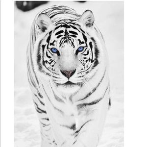 Meet your Posher, Eileen